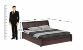 Dumdum Solid Sheesham Wood Bed With One Drawer (Queen Size, Walnut Finish)